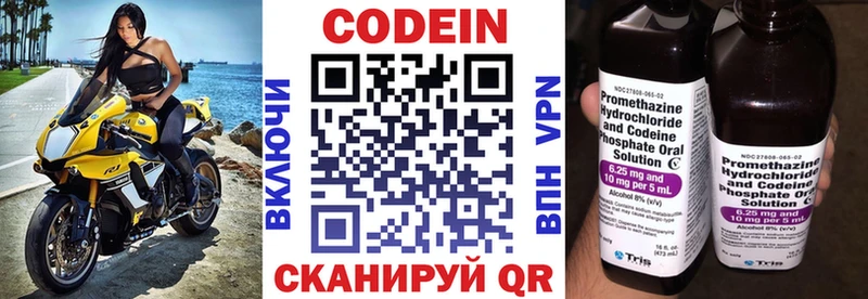 Codein Purple Drank  Купить закладки  Гусев 