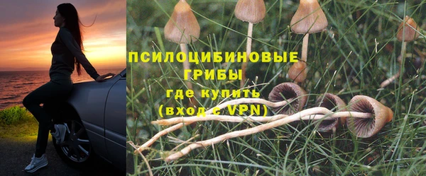 mdpv Беломорск