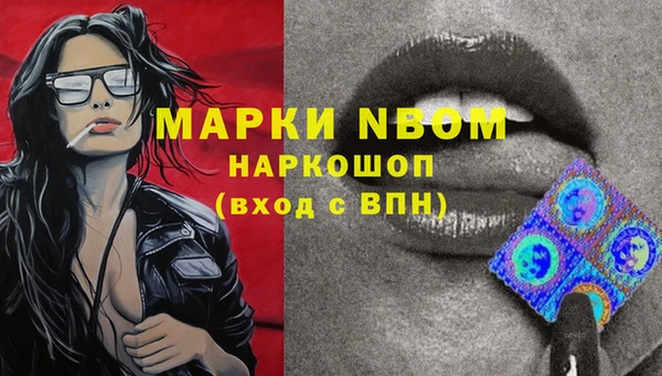 круглые Белокуриха