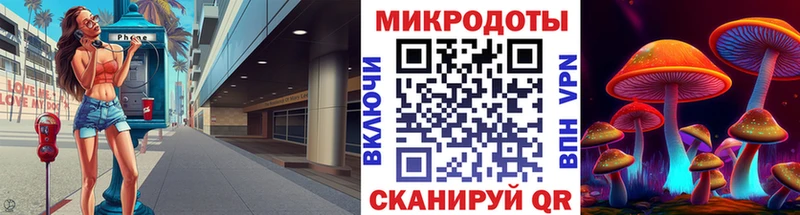 Псилоцибиновые грибы Psilocybe  Купить  Гусев 
